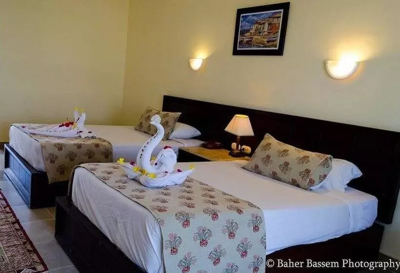 Fotos del hotel Viva Sharm:  11