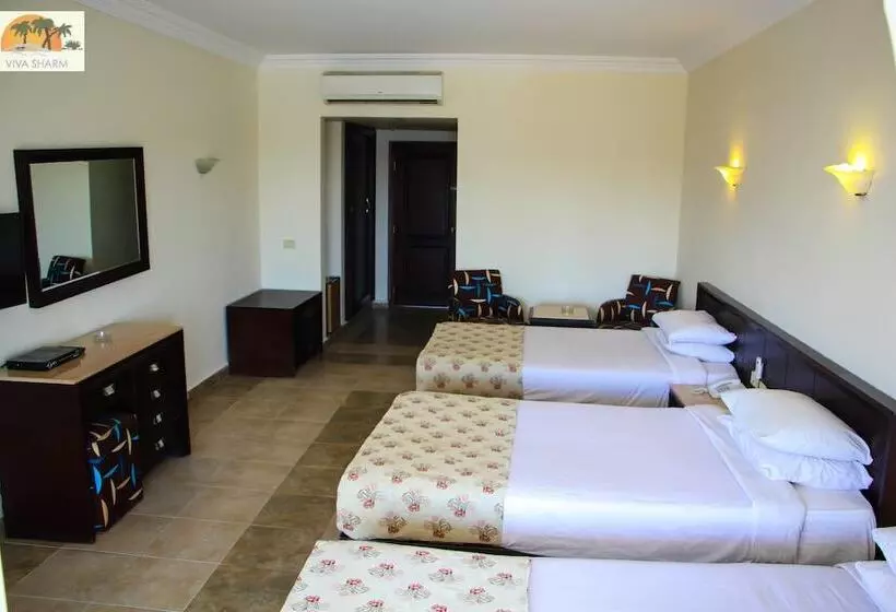 Fotos del hotel Viva Sharm:  14