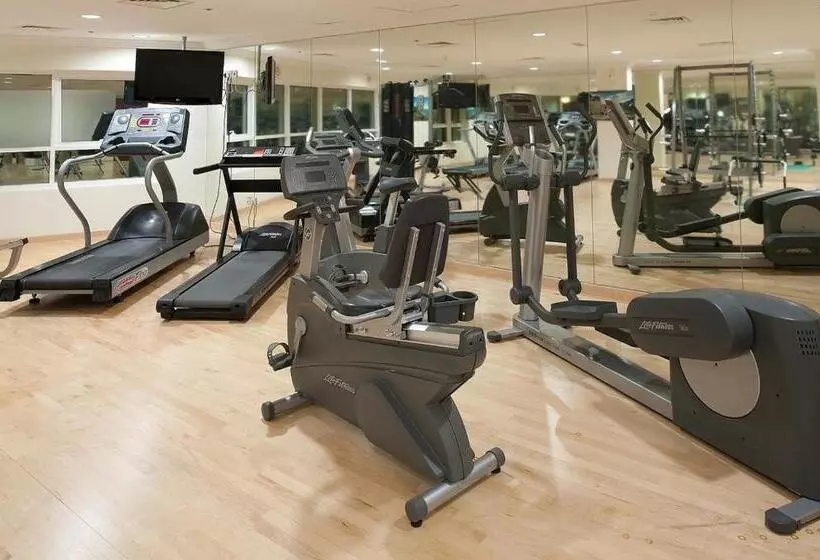 Fotos del hotel Holiday Inn Bur Dubai  Embassy District:  3