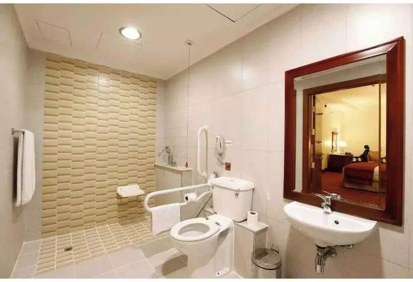 Fotos del hotel Holiday Inn Bur Dubai  Embassy District:  51