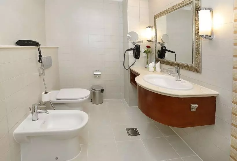Fotos del hotel Holiday Inn Bur Dubai  Embassy District:  52