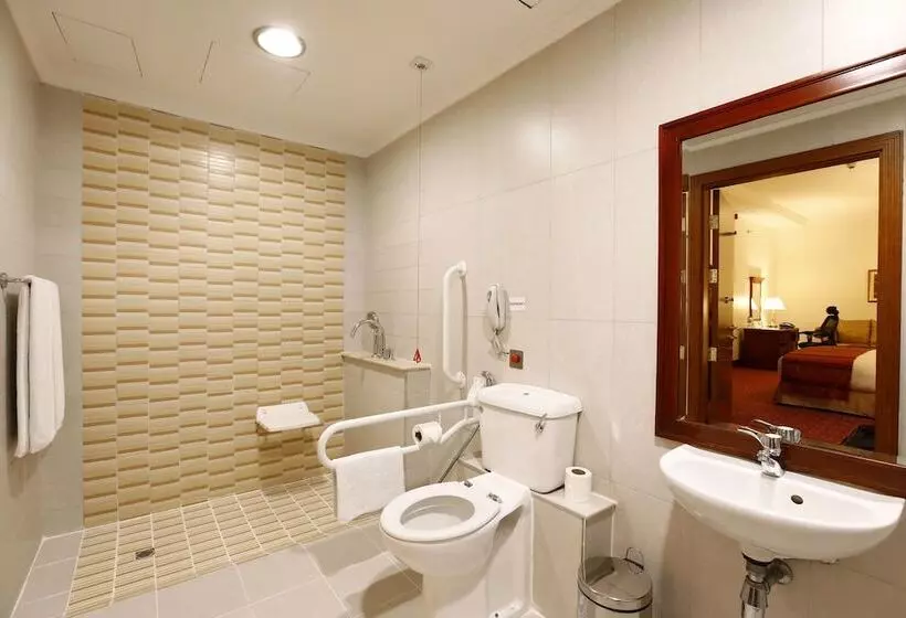 Fotos del hotel Holiday Inn Bur Dubai  Embassy District:  53