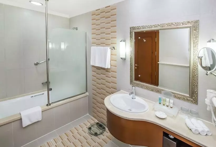Fotos del hotel Holiday Inn Bur Dubai  Embassy District:  56