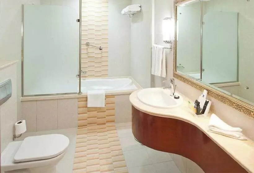 Fotos del hotel Holiday Inn Bur Dubai  Embassy District:  64