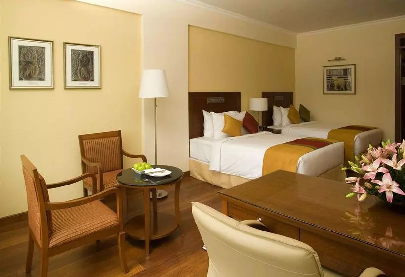 Fotos del hotel The Elite Grand, Chennai:  21