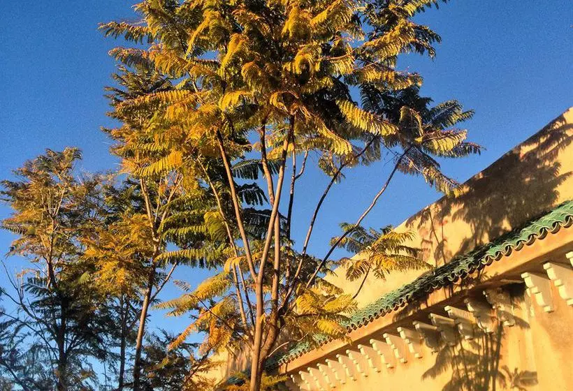 Fotos del hotel Villa & Tente Manzil La Tortue:  12