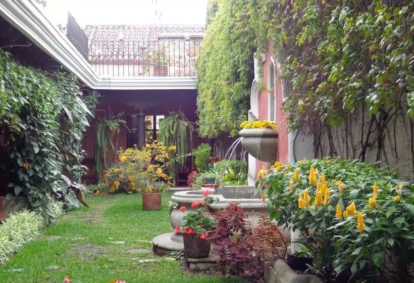 Fotos del hotel Meson Del Valle By Ahs:  16