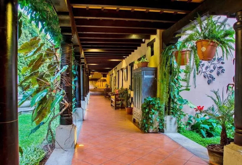 Fotos del hotel Meson Del Valle By Ahs:  18