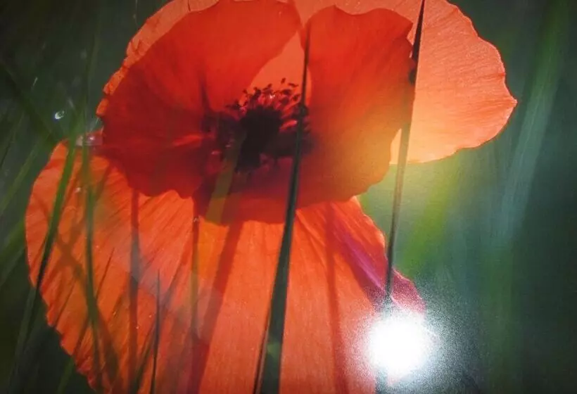 Fotos del hotel Palacio De Asturias:  2