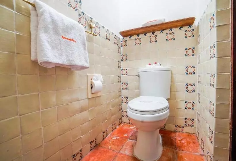 Fotos del hotel Mansion Virreyes:  15