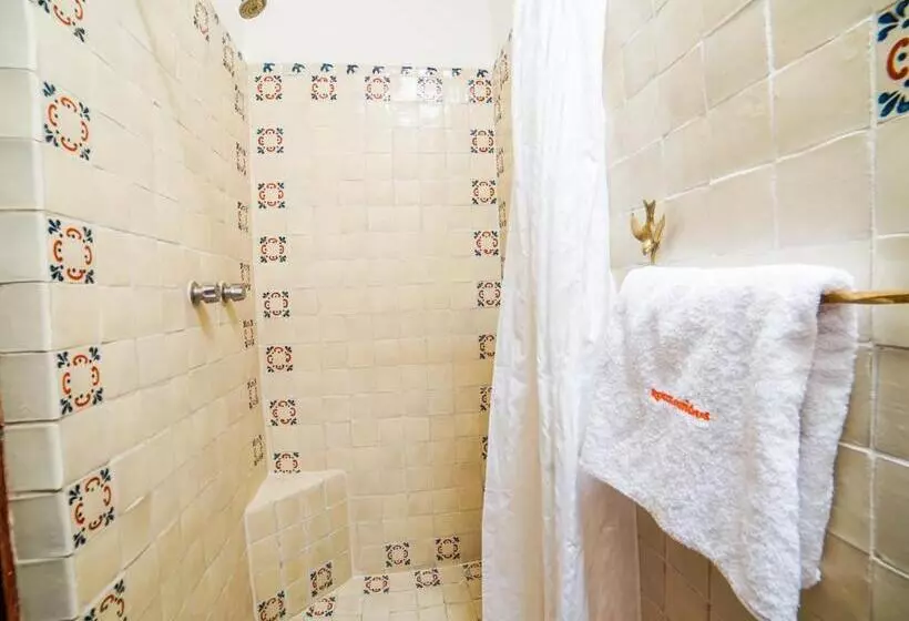 Fotos del hotel Mansion Virreyes:  23