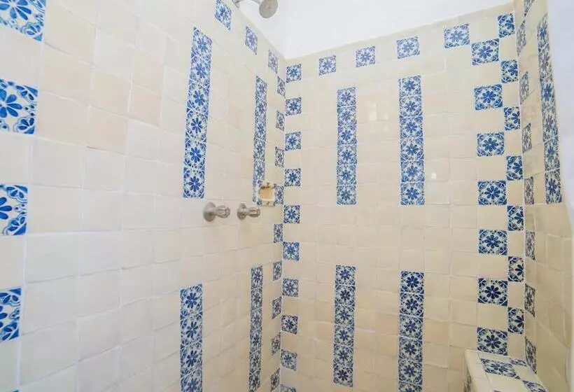 Fotos del hotel Mansion Virreyes:  25