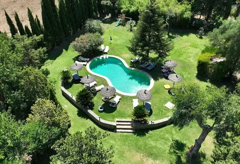 Fotos del hotel Dalt Muntanya:  13