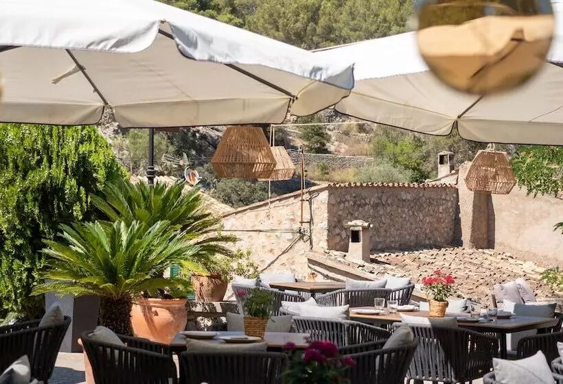 Fotos del hotel Dalt Muntanya:  5