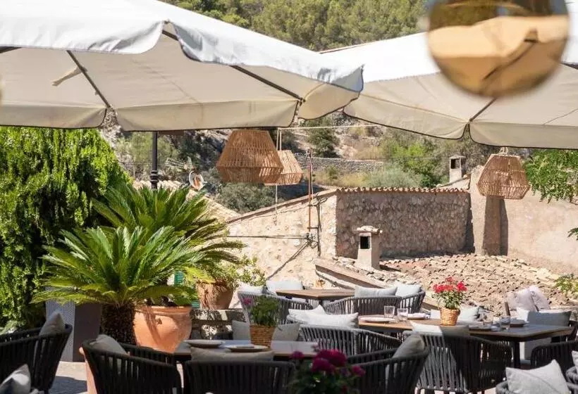 Fotos del hotel Dalt Muntanya:  11