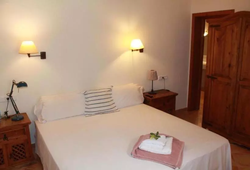 Fotos del hotel Dalt Muntanya:  18