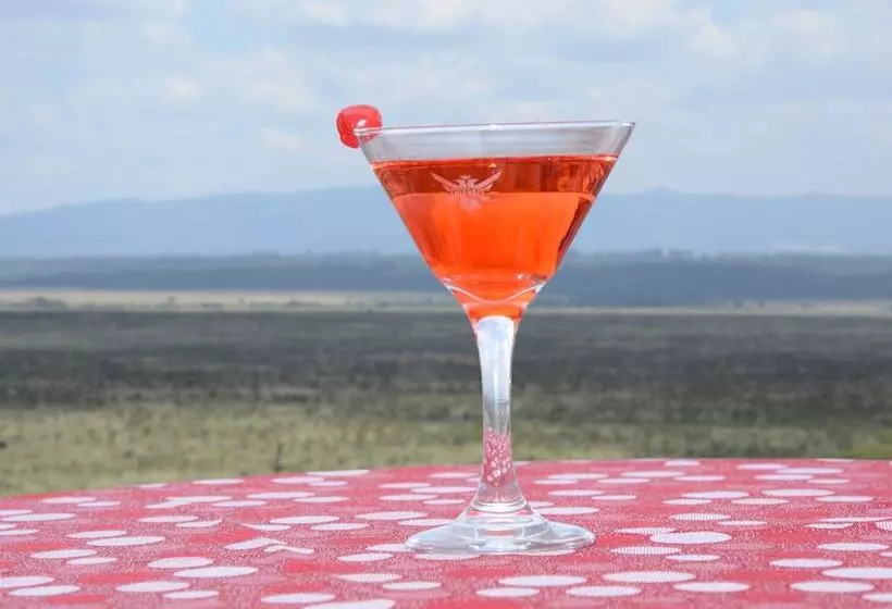 Fotos del hotel The Panari:  4