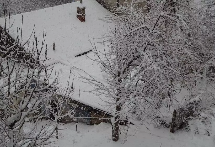 Fotos del hotel Weekend Boutique Hotel:  13