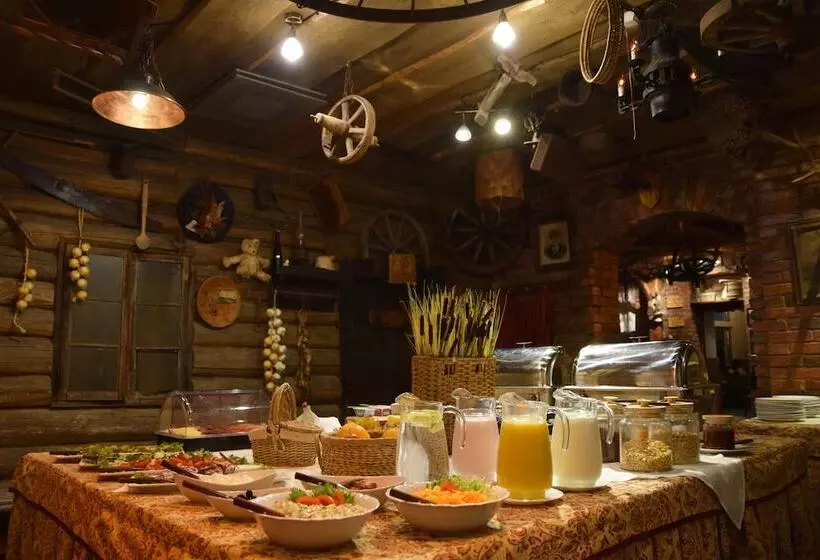 Fotos del hotel Hansa Hotel:  13