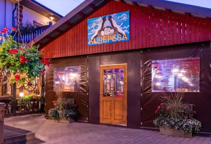 Fotos del hotel Hansa Hotel:  3