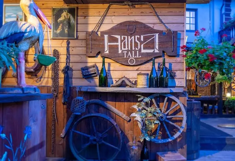 Fotos del hotel Hansa Hotel:  10