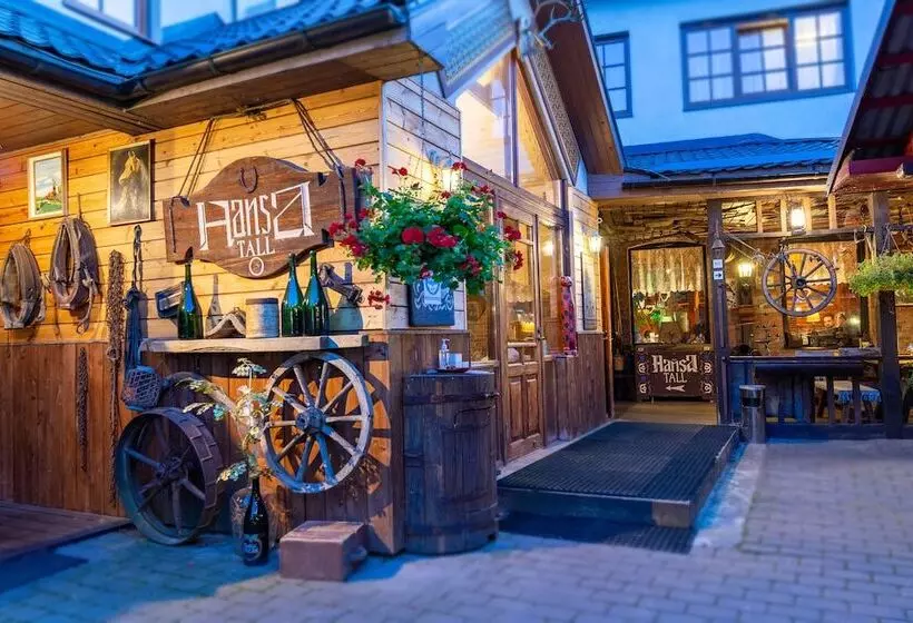 Fotos del hotel Hansa Hotel:  18