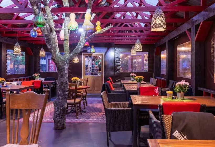 Fotos del hotel Hansa Hotel:  17