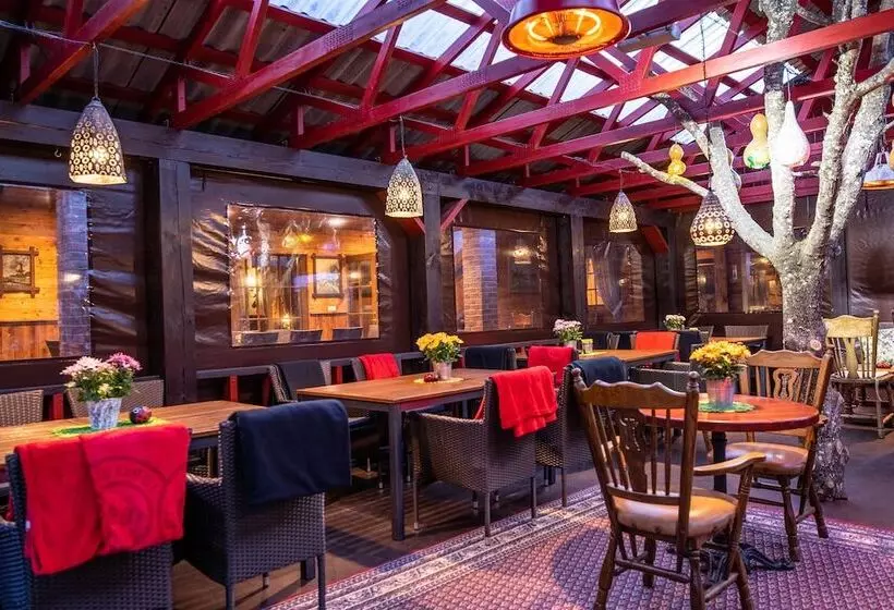 Fotos del hotel Hansa Hotel:  4