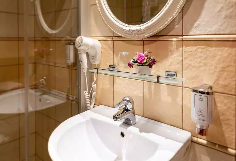 Fotos del hotel Hansa Hotel:  15