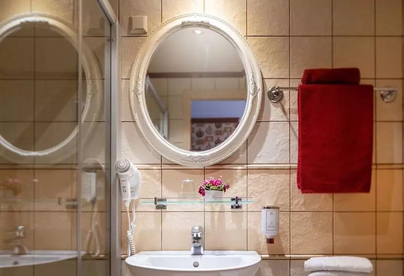 Fotos del hotel Hansa Hotel:  25