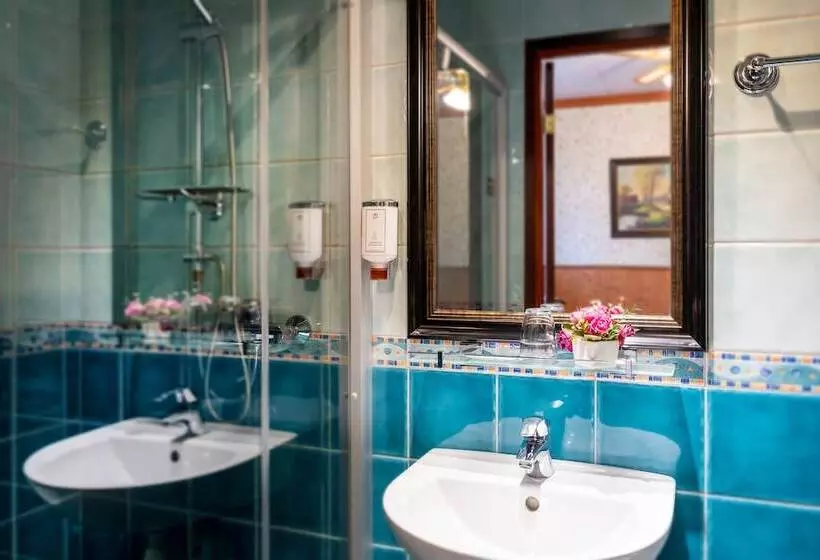 Fotos del hotel Hansa Hotel:  19