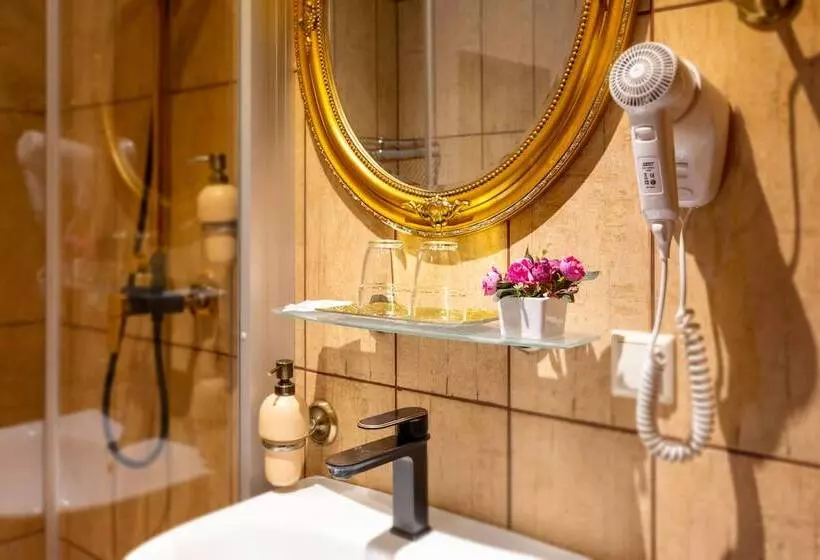 Fotos del hotel Hansa Hotel:  6