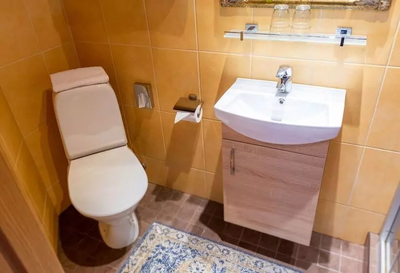 Fotos del hotel Hansa Hotel:  22