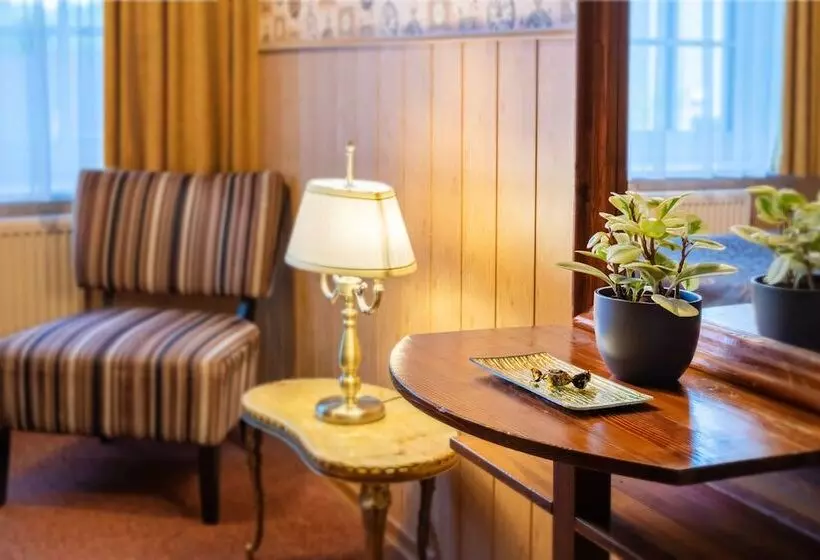 Fotos del hotel Hansa Hotel:  12