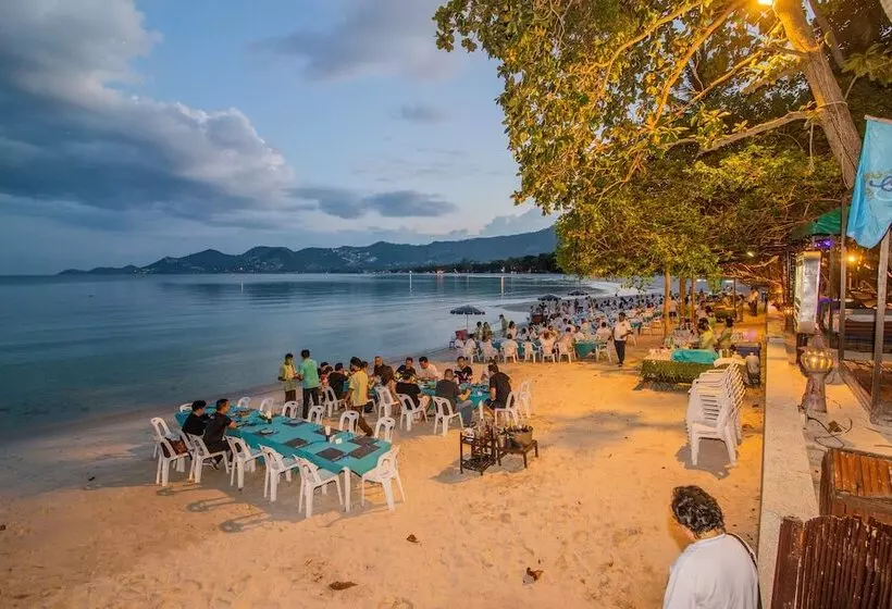 Fotos del hotel Chaweng Garden Beach Resort:  15