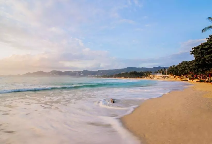 Fotos del hotel Chaweng Garden Beach Resort:  19