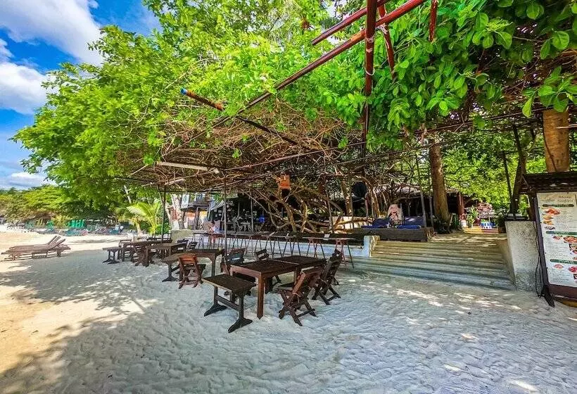 Fotos del hotel Chaweng Garden Beach Resort:  13