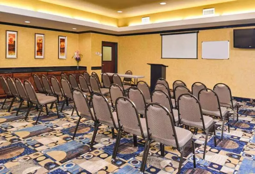 Fotos del hotel Sleep Inn And Suites Downtown Houston:  13