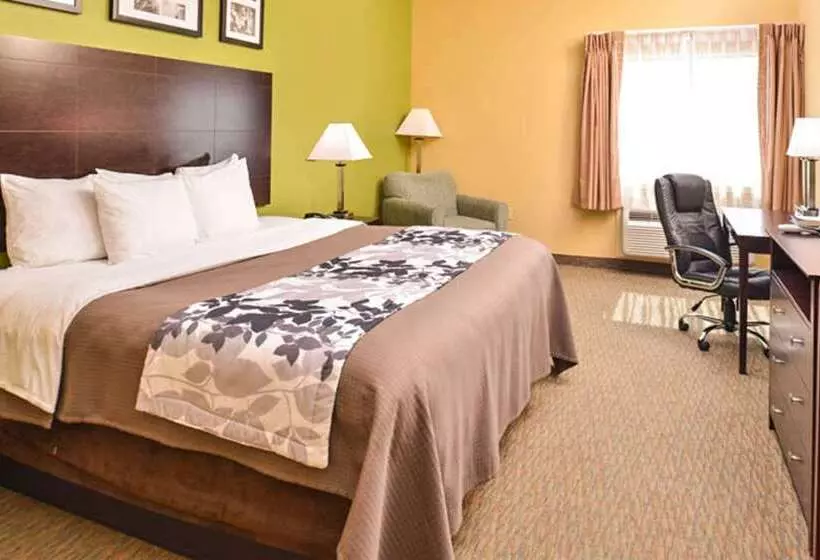 Fotos del hotel Sleep Inn And Suites Downtown Houston:  17