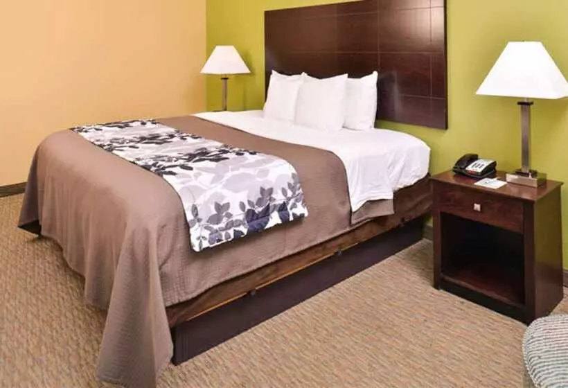 Fotos del hotel Sleep Inn And Suites Downtown Houston:  22
