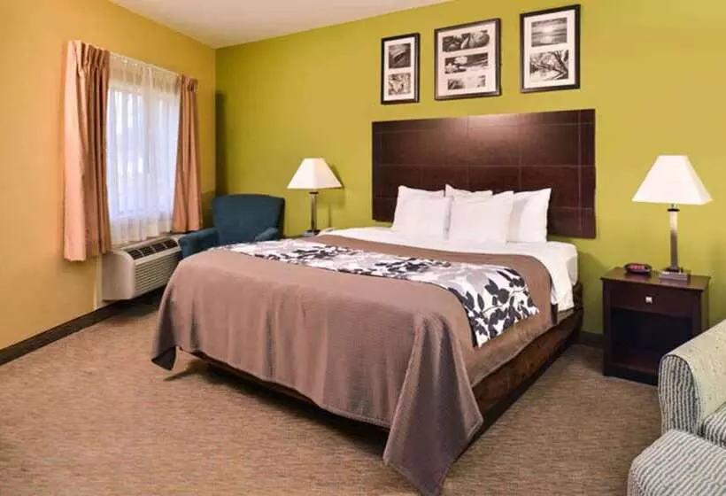 Fotos del hotel Sleep Inn And Suites Downtown Houston:  21