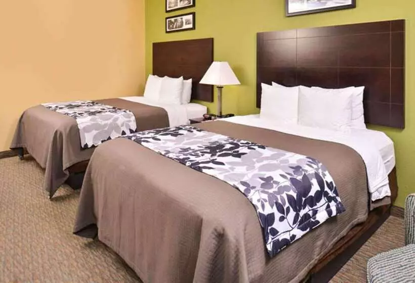 Fotos del hotel Sleep Inn And Suites Downtown Houston:  19