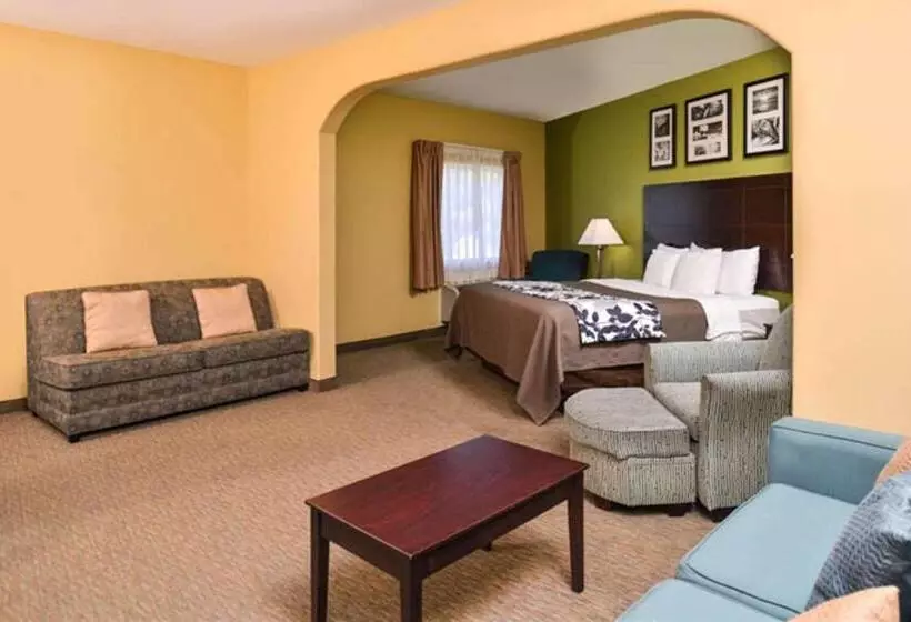 Sleep Inn And Suites Downtown Houston