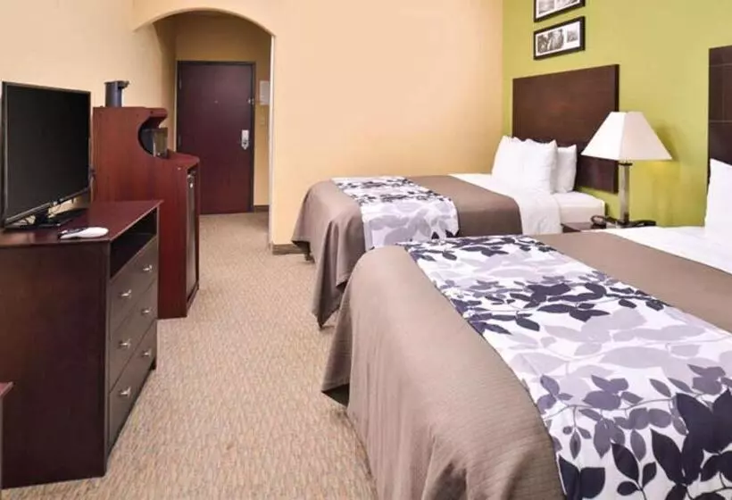 Fotos del hotel Sleep Inn And Suites Downtown Houston:  10