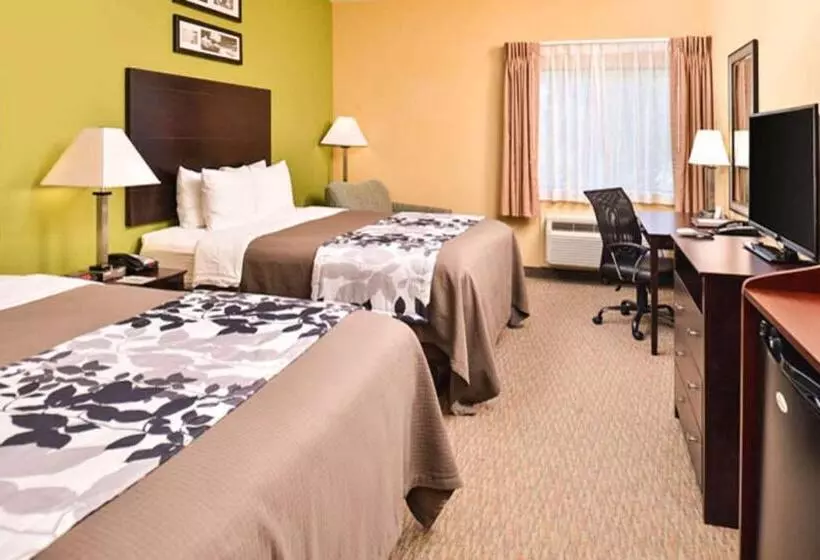Fotos del hotel Sleep Inn And Suites Downtown Houston:  12