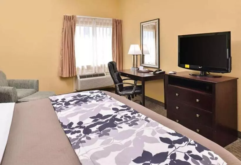 Fotos del hotel Sleep Inn And Suites Downtown Houston:  4