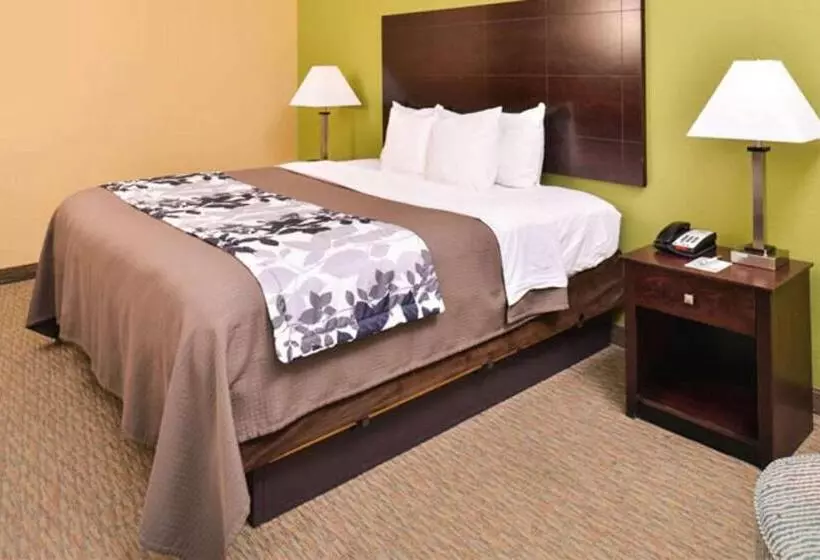 Fotos del hotel Sleep Inn And Suites Downtown Houston:  14