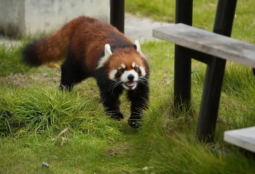 Fotos del hotel Trusty Nagoya:  4