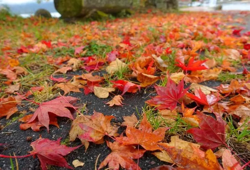 Fotos del hotel Hoshino Resorts Kai Nikko:  13