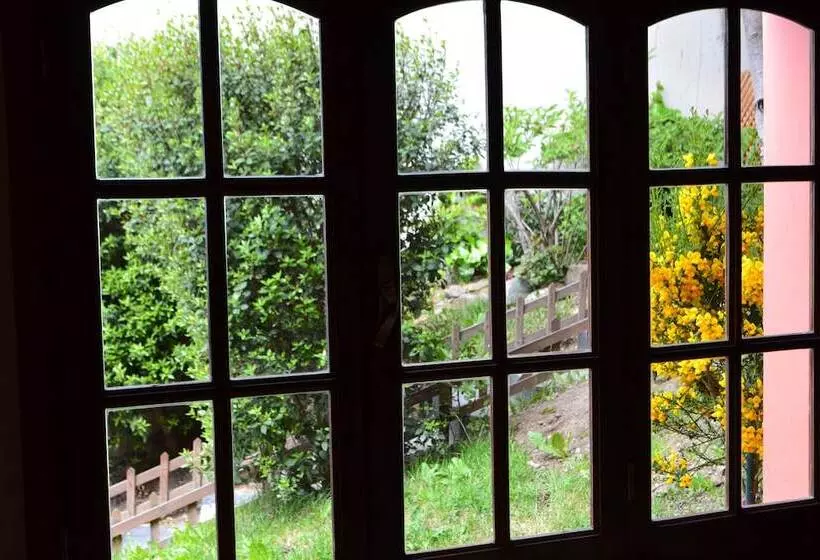 Fotos del hotel Valle Frío Ushuaia:  6